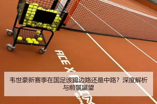 韦世豪新赛季在国足该踢边路还是中路？深度解析与前景展望