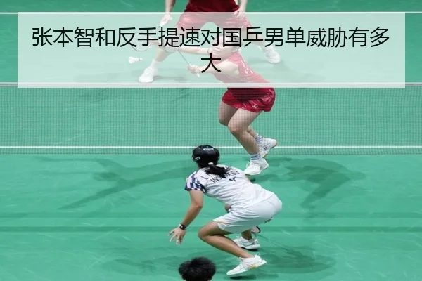 张本智和反手提速对国乒男单威胁有多大